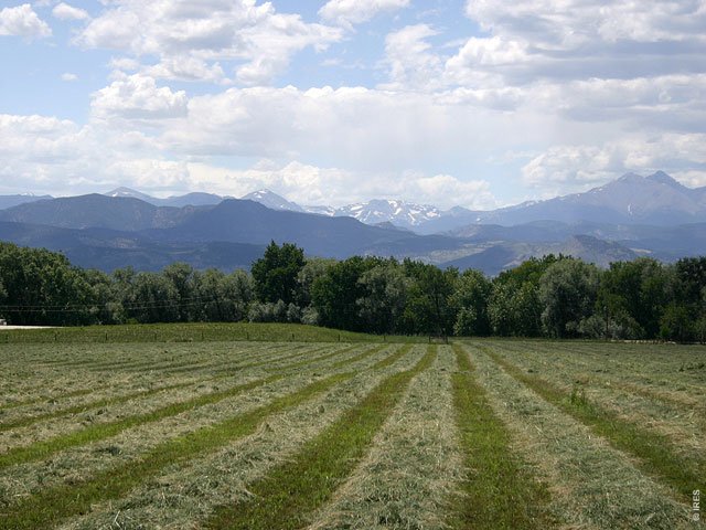 Vacant Lot Real Estate for Sale at 8101 Table Mountain Ct in the city of Longmont by MLS #597845