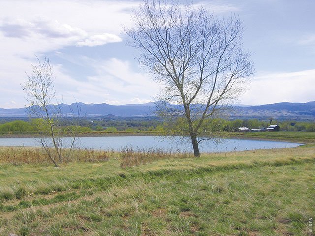 MLS Number 597846 in the city of Longmont Homes for Sale by Kugel Nupud Rep A, the zipcode of 80503