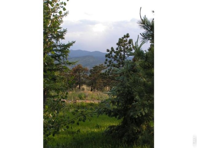 Homes for Sale in Longmont, CO