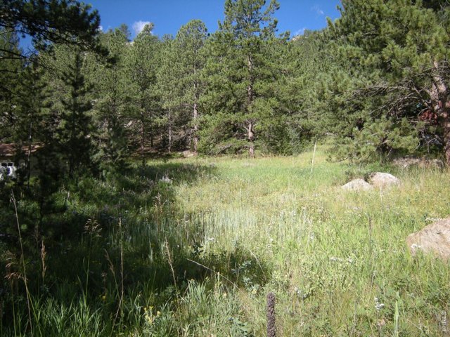 Photo for MLS 636782 in 83 Cedar Dr Lyons, CO - 80540
