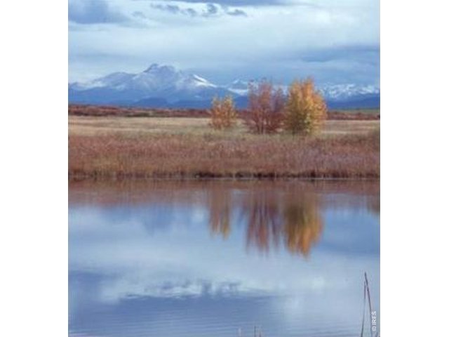 648213, Vacant Lot, 8028 Nelson Lakes Dr, Longmont, CO, Nelson Lakes, , 80504