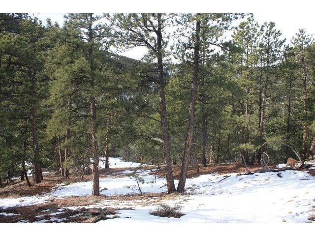 12850 N Saint Vrain Dr, in the city of Lyons Real Estate in CO by Tr Nbr 961 St Vrain Area,