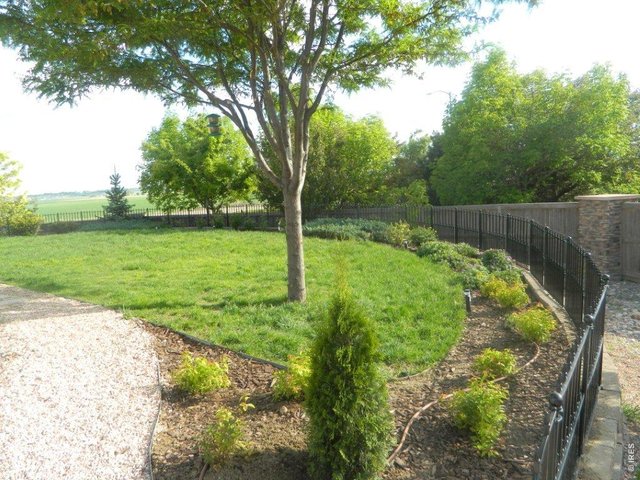 Lush yard