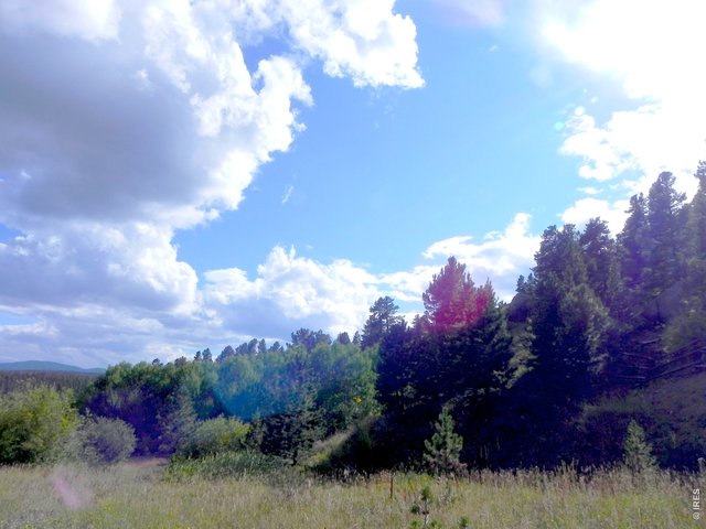 Homes for Sale in Nederland, CO