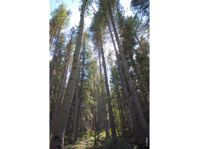 Nederland Real Estate - MLS # 691613, Vacant Lot real estate for Sale in None, MLS Listings # 691613
