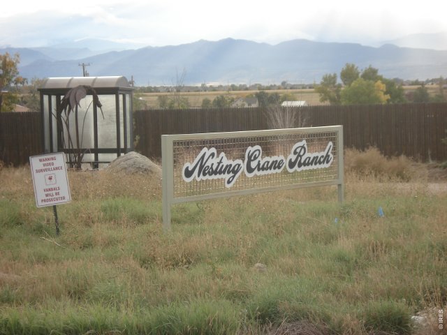 Homes for Sale located at 525 Nesting Crane Dr, in the city of Longmont, CO 80504