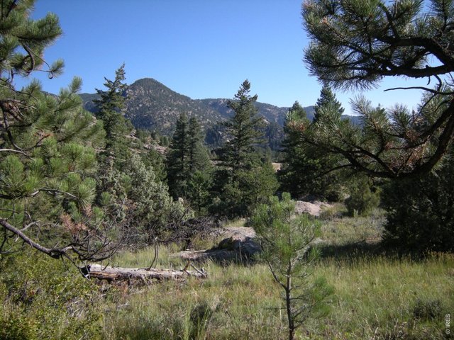 Homes for Sale in Lyons, CO