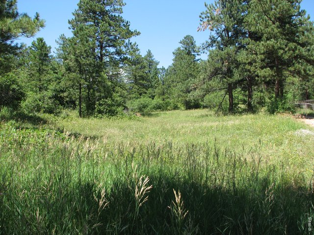 Photo of Listing #696129