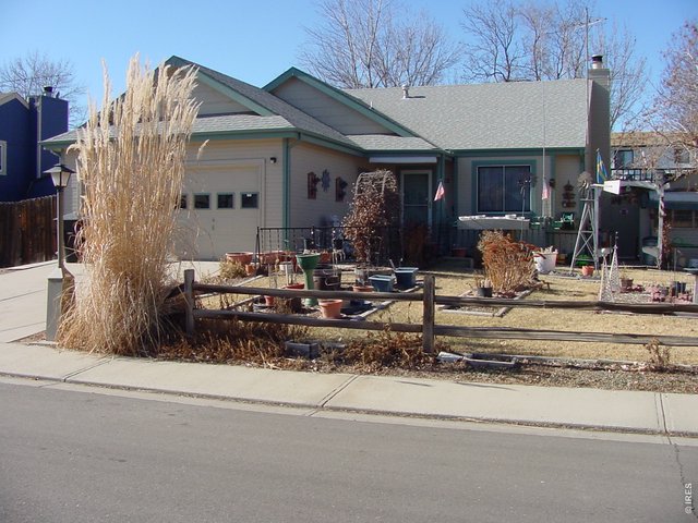 Longmont Homes for Sale in the neighborhood of Horizon West 2 in the Zipcode of 80501