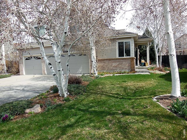 Photo of Listing #705541