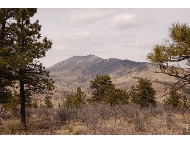 Homes for Sale in Lyons, CO